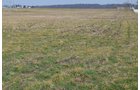 Property photo 76 - 98+/- Acres Offered in 6 Tracts or Combinations, Noble County, Indiana Farm